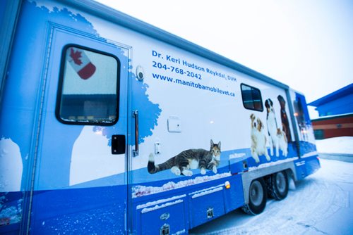 MIKAELA MACKENZIE / WINNIPEG FREE PRESS
The Manitoba Underdogs Association runs a dog spay and neuter clinic on the Chemawawin First Nation Reserve, Manitoba on Sunday, Feb. 25, 2018. Many Northern Manitoban communities have problems with stray dog overpopulation, and initiatives like these aim to reduce their numbers in a humane way while increasing the quality of life for dogs and humans.
180225 - Sunday, February 25, 2018.