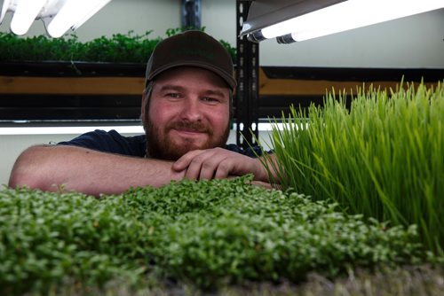 MIKE DEAL / WINNIPEG FREE PRESS
Joel Weber inside the small space at Fresh Forage a hydroponic growing company that is providing microgreens all year long to restaurants and is partnering with a Churchill company to grow greens in the North.
180307 - Wednesday, March 07, 2018.