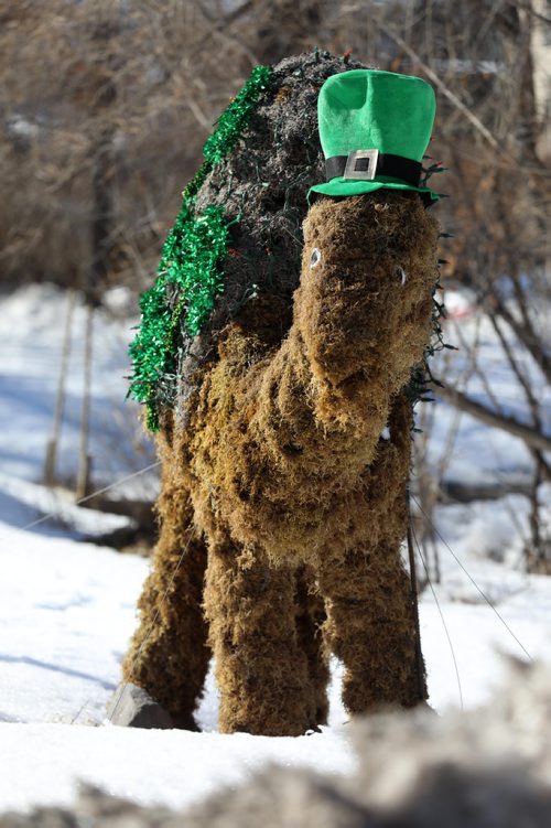 RUTH BONNEVILLE  /  WINNIPEG FREE PRESS

A outside garden ornament seen in yard at residence on Wellington Crescent is dressed up for St. Patricks Day Friday.  
Standup  
March 16, 2018