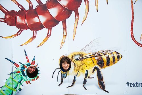 MIKAELA MACKENZIE / WINNIPEG FREE PRESS
Emilie Messier (left) and Johanna Soto participate in a posed photo opportunity after the the new summer exhibition, Xtreme BUGS, was announced at Assiniboine Park Zoo in Winnipeg on Wednesday, March 21, 2018. Extreme BUGS will feature 19 giant, animatronic bugs.
 Mikaela MacKenzie / Winnipeg Free Press 21, 2018.