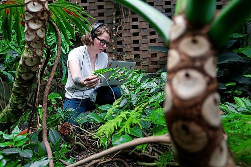 JOHN WOODS / WINNIPEG FREE PRESS
Helga Jakobson, Environmental Artist-in-residence at Assiniboine Park Conservatory, listens to and records conservatory plant electrical signals Sunday, March 25, 2018. Jakobson is recording plant signals and will convert them into instruments, and record a piece of music with the  Winnipeg Symphony Orchestra. The conservatory is closing within the month.