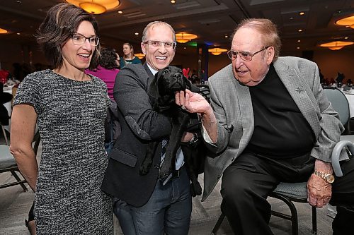 JASON HALSTEAD / WINNIPEG FREE PRESS

L-R: Lorraine Rempel (puppy raiser), Garry Nenson (executive director, CNIB Manitoba) and Jim Gauthier (new guide dog sponsor) with guide-dog-in-training Joycie at the Canadian National Institute for the Blind's Eye on the Arts benefit auction on March 1, 2018 at the RBC Convention Centre Winnipeg. (See Social Page)