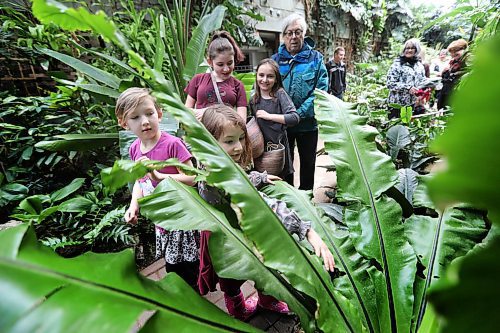 RUTH BONNEVILLE / WINNIPEG FREE PRESS

People flock to the Assiniboine Park Conservatory during its final days including this group of kids who look closely at new growth sprouting at the centre of leafy plant Wednesday.

The public has just over two months to say goodbye to the Assiniboine Park Conservatory.

The conservatory, which park officials say is the first memory many people have of Assiniboine Park, will shut down for good after Easter Monday, Apr. 2nd at 5pm.

It first opened in 1914 when many North American cities were constructing indoor tropical gardens, and was rebuilt in 1968. It will make way for the Canada's Diversity Gardens, a horticulture display several times its size and bigger in scope with its theme of cultural and plant diversity.

Name of kids (sisters and friends):
Vida Stone (7yrs in pink), Leah Noel (11yrs, burgundy tall), Elilani Noel (9yrs, grey) and Aviva Noel (5yrs, front, side part).

Standup photo 

March 27,  2018
