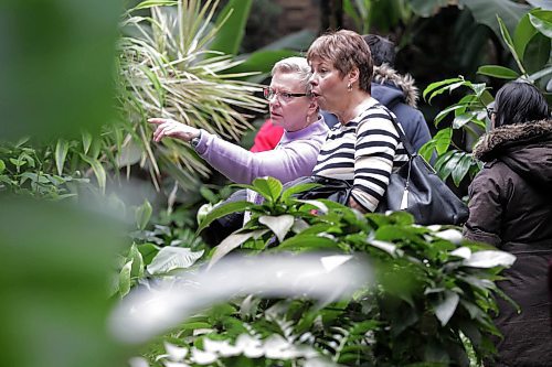 RUTH BONNEVILLE / WINNIPEG FREE PRESS

People flock to the Assiniboine Park Conservatory checking out its ornate and longstanding horticulture  during its final days Wednesday.  
The public has just over two months to say goodbye to the Assiniboine Park Conservatory.

The conservatory, which park officials say is the first memory many people have of Assiniboine Park, will shut down for good after Easter Monday, Apr. 2nd at 5pm.

Name of kids (sisters and friends):
 Leah Noel (11yrs, burgundy tall), Elilani Noel (9yrs, grey) and Aviva Noel (5yrs, front, side part).

Standup photo 

March 27,  2018
