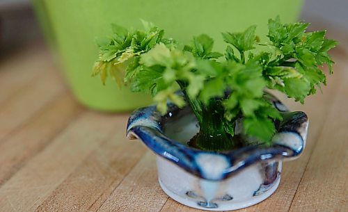 MIKE DEAL / WINNIPEG FREE PRESS
A re-grown celery sits in a little pot of water for a story on food-waste reduction in the home kitchen.
180329 - Thursday, March 29, 2018.