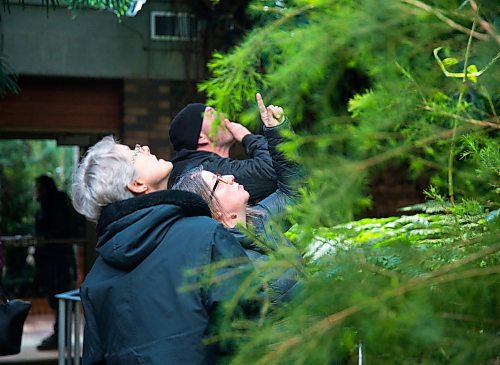 MIKAELA MACKENZIE / WINNIPEG FREE PRESS
Janie Thiessen points out a plant to Barbara Gerard at the Assiniboine Park Conservatory on the last day open to the public in Winnipeg on Saturday, March 31, 2018.
Mikaela MacKenzie / Winnipeg Free Press 31, 2018.