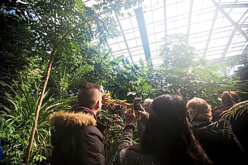 MIKAELA MACKENZIE / WINNIPEG FREE PRESS
The Assiniboine Park Conservatory bustles with people saying their goodbyes on the last day open to the public in Winnipeg on Saturday, March 31, 2018.
Mikaela MacKenzie / Winnipeg Free Press 31, 2018.