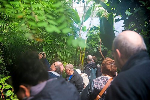 MIKAELA MACKENZIE / WINNIPEG FREE PRESS
The Assiniboine Park Conservatory bustles with people saying their goodbyes on the last day open to the public in Winnipeg on Saturday, March 31, 2018.
Mikaela MacKenzie / Winnipeg Free Press 31, 2018.