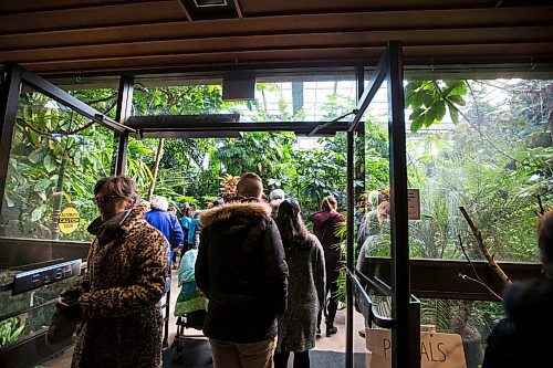 MIKAELA MACKENZIE / WINNIPEG FREE PRESS
The Assiniboine Park Conservatory bustles with people saying their goodbyes on the last day open to the public in Winnipeg on Saturday, March 31, 2018.
Mikaela MacKenzie / Winnipeg Free Press 31, 2018.