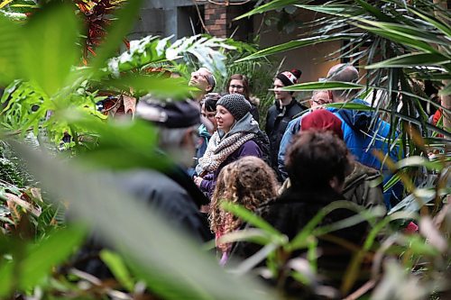 RUTH BONNEVILLE / WINNIPEG FREE PRESS

Crowds of people make their way in the Assiniboine Park Conservatory on its final opening day Monday.
Standup photo 

April 02,  2018
