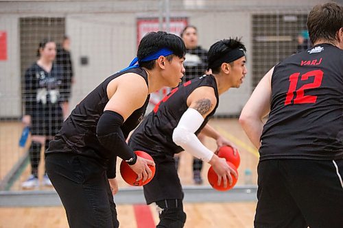 MIKAELA MACKENZIE / WINNIPEG FREE PRESS
Chris Moises plays a match at the Canadian national team dodgeball trials at the Duckworth Centre in Winnipeg on Friday, April 13, 2018. 
Mikaela MacKenzie / Winnipeg Free Press 2018.