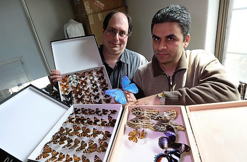 RUTH BONNEVILLE / WINNIPEG FREE PRESS

Dr Roohollah Abbasi (right ) who was a former University of Manitoba PHD student in Dr. Marcus's class Associate Professor, Dept of Biological Sciences U of M (left), discovered how butterflies organize their colour patterns while studying at the U of M.
 Dr Roohollah Abbasi is holding a preserved  Morpho butterfly at the lab at U of M/.  
See Martin Zelig story.   

April 16,  2018
