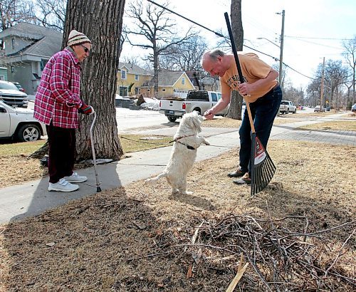 BORIS MINKEVICH / WINNIPEG FREE PRESS
From left, Gladys Mazur watches her 9 year old dog named Star get a treat from John Nakielny who took a break from cleaning his yard on Kingston Row this afternoon. Weather is supposed to be good all week. April 18, 2018