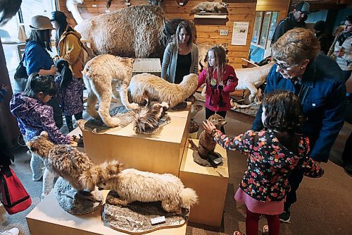 JOHN WOODS / WINNIPEG FREE PRESS
People check out the stuffed animals and the Earth Day activities at Fort Whyte Sunday, April 22, 2018.