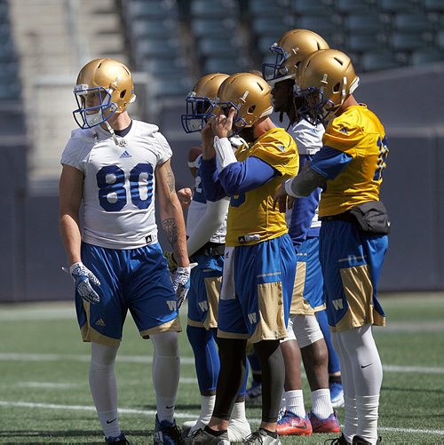 PHIL HOSSACK / WINNIPEG FREE PRESS -  #80 Drew Wolitarsky keeps an eye on what's happening at the Bomber Mini-Camp Wednesday afternoon. See Mike Sawatzsky story. - April 25, 2018