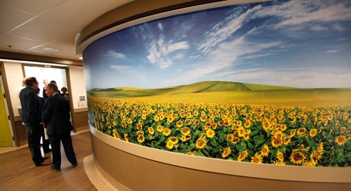 PHIL HOSSACK / WINNIPEG FREE PRESS - Muraled walls at the Alzheimer Centre of Excellence project at the Riverview Health Centre.  Carol's story. - April 26, 2018