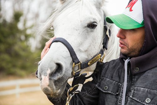 MIKAELA MACKENZIE / WINNIPEG FREE PRESS
Groom Moises Marin puts a bridle back on a horse after letting them run free while on "vacation" at an equestrian facility near Oakbank, MB on Friday, April 27, 2018.
Mikaela MacKenzie / Winnipeg Free Press 2018.