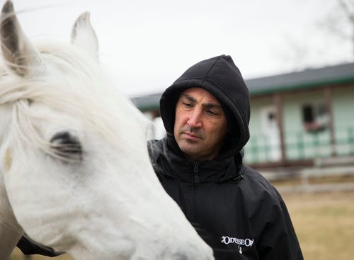 MIKAELA MACKENZIE / WINNIPEG FREE PRESS
Arabian groom Eduardo Vollrath lets the horses run free on their "vacation" at an equestrian facility near Oakbank, MB on Friday, April 27, 2018.
Mikaela MacKenzie / Winnipeg Free Press 2018.