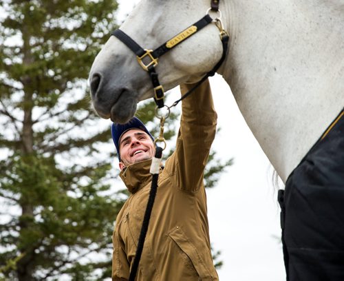 MIKAELA MACKENZIE / WINNIPEG FREE PRESS
Rider Antoine Romanoff and horse Gavilan pose for a media tour while the horses take a "vacation" at an equestrian facility near Oakbank, MB on Friday, April 27, 2018.
Mikaela MacKenzie / Winnipeg Free Press 2018.