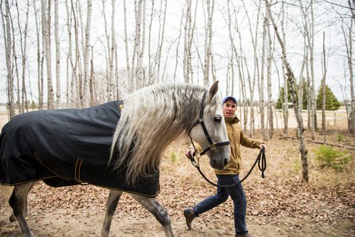 MIKAELA MACKENZIE / WINNIPEG FREE PRESS
Rider Antoine Romanoff and horse Gavilan walk back to the barn while the horses take a "vacation" at an equestrian facility near Oakbank, MB on Friday, April 27, 2018.
Mikaela MacKenzie / Winnipeg Free Press 2018.