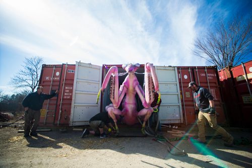 MIKAELA MACKENZIE / WINNIPEG FREE PRESS
Crews at the zoo begin unpacking the gigantic animatronic bugs that have arrived for the upcoming Xtreme Bugs! exhibit at the Assiniboine Park Zoo in Winnipeg on Wednesday, May 2, 2018. 
Mikaela MacKenzie / Winnipeg Free Press 2018.