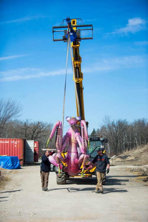 MIKAELA MACKENZIE / WINNIPEG FREE PRESS
Dennis King (left) and Robert Chubaty walk along with a gigantic animatronic bug that's being placed for the upcoming Xtreme Bugs! exhibit at the Assiniboine Park Zoo in Winnipeg on Wednesday, May 2, 2018. 
Mikaela MacKenzie / Winnipeg Free Press 2018.