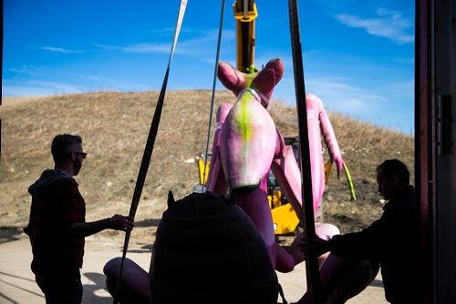 MIKAELA MACKENZIE / WINNIPEG FREE PRESS
Jason Smith (left) and Dennis King begin unpacking a gigantic animatronic bug that's arrived for the upcoming Xtreme Bugs! exhibit at the Assiniboine Park Zoo in Winnipeg on Wednesday, May 2, 2018. 
Mikaela MacKenzie / Winnipeg Free Press 2018.