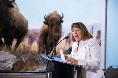 MIKAELA MACKENZIE / WINNIPEG FREE 
Gail Asper, president and trustee of the Asper Foundation, announces new funding for the Manitoba Museum at the museum in Winnipeg on Thursday, May 3, 2018. 
Mikaela MacKenzie / Winnipeg Free Press 2018.