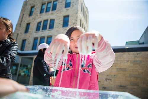 MIKAELA MACKENZIE / WINNIPEG FREE 
Breanna Anderson, a grade four student, plays with "oobleck" (a mixture of corn starch and water) at Discovery Days at the University of Manitoba in Winnipeg on Thursday, May 3, 2018. The event is an art-science-engineering mash-up with hands-on messy activities, "potions" classes, and more.
Mikaela MacKenzie / Winnipeg Free Press 2018.