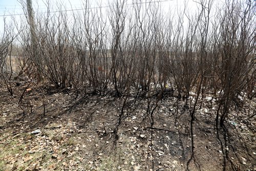 TREVOR HAGAN / WINNIPEG FREE PRESS
Signs of a recent fire behind the south side of the 1500 block of Regent Avenue, Sunday, May 6, 2018.