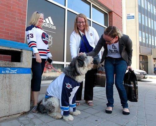 BORIS MINKEVICH / WINNIPEG FREE PRESS
Winnipeg Jets fan named Rufus, a 3 year old rescue, is a hit in front of the Jet's store at the Bell MTS Place. From left, dog owner Lori Black, Janean McInnes(dog admirer), and Ashley Panagapko (petting dog). Rufus is the office dog at Blacks work downtown. STANDUP PHOTO May 7, 2018