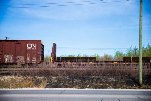 MIKAELA MACKENZIE / WINNIPEG FREE PRESS
Burnt grass by the CN tracks along Wilkes Avenue in Winnipeg on Tuesday, May 8, 2018. 
Mikaela MacKenzie / Winnipeg Free Press 2018.