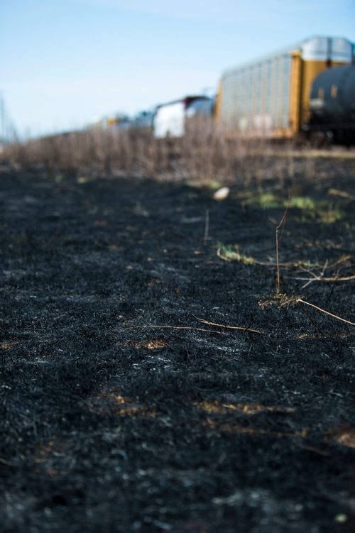 MIKAELA MACKENZIE / WINNIPEG FREE PRESS
Burnt grass by the CN tracks along Wilkes Avenue in Winnipeg on Tuesday, May 8, 2018. 
Mikaela MacKenzie / Winnipeg Free Press 2018.