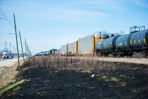 MIKAELA MACKENZIE / WINNIPEG FREE PRESS
Burnt grass by the CN tracks along Wilkes Avenue in Winnipeg on Tuesday, May 8, 2018. 
Mikaela MacKenzie / Winnipeg Free Press 2018.