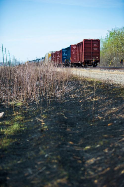 MIKAELA MACKENZIE / WINNIPEG FREE PRESS
Burnt grass by the CN tracks along Wilkes Avenue in Winnipeg on Tuesday, May 8, 2018. 
Mikaela MacKenzie / Winnipeg Free Press 2018.