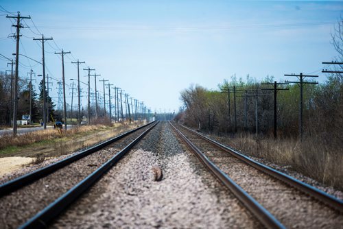 MIKAELA MACKENZIE / WINNIPEG FREE PRESS
The CN tracks along Wilkes Avenue in Winnipeg on Tuesday, May 8, 2018. To the right of the tracks you can see a hydro pole that has been blackened by a fire.
Mikaela MacKenzie / Winnipeg Free Press 2018.