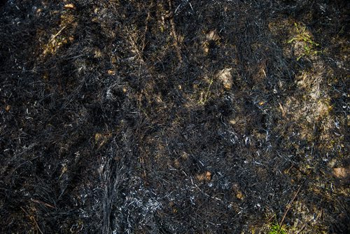 MIKAELA MACKENZIE / WINNIPEG FREE PRESS
Burnt grass by the CN tracks along Wilkes Avenue in Winnipeg on Tuesday, May 8, 2018. 
Mikaela MacKenzie / Winnipeg Free Press 2018.