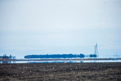 MIKAELA MACKENZIE / WINNIPEG FREE PRESS
Mirage hovers over farmers' fields in Winnipeg on Tuesday, May 8, 2018. 
Mikaela MacKenzie / Winnipeg Free Press 2018.