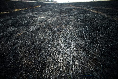 MIKAELA MACKENZIE / WINNIPEG FREE PRESS
The sooty mark of a grass fire around the perimeter highway and Roblin Boulevard in Winnipeg on Tuesday, May 8, 2018. Community members say neighbourhood kids lit a bike on fire, and the fire rapidly spread.
Mikaela MacKenzie / Winnipeg Free Press 2018.