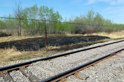BORIS MINKEVICH / WINNIPEG FREE PRESS
Grass fire near the tracks near Whitehell Ave in Transcona Bioreserve. May 8, 2018