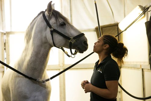 MIKAELA MACKENZIE / WINNIPEG FREE PRESS
Iris Velez shares a moment with Punto while grooming in Winnipeg on Tuesday, May 8, 2018. 
Mikaela MacKenzie / Winnipeg Free Press 2018.