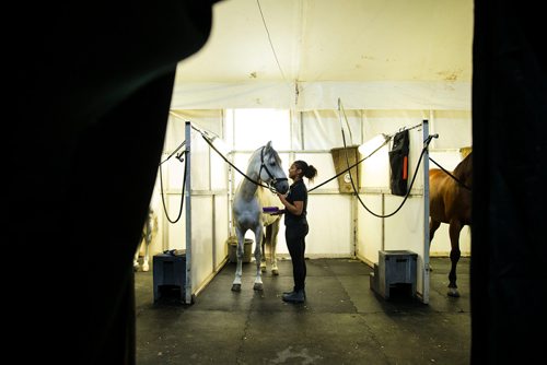 MIKAELA MACKENZIE / WINNIPEG FREE PRESS
Iris Velez shares a moment with Punto while grooming in Winnipeg on Tuesday, May 8, 2018. 
Mikaela MacKenzie / Winnipeg Free Press 2018.