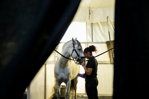 MIKAELA MACKENZIE / WINNIPEG FREE PRESS
Iris Velez shares a moment with Punto while grooming in Winnipeg on Tuesday, May 8, 2018. 
Mikaela MacKenzie / Winnipeg Free Press 2018.