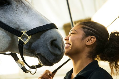 MIKAELA MACKENZIE / WINNIPEG FREE PRESS
Iris Velez shares a moment with Punto while grooming in Winnipeg on Tuesday, May 8, 2018. 
Mikaela MacKenzie / Winnipeg Free Press 2018.