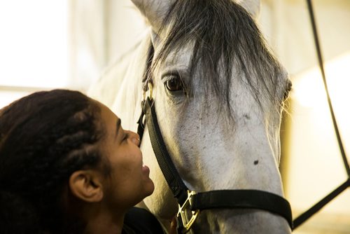 MIKAELA MACKENZIE / WINNIPEG FREE PRESS
Iris Velez shares a moment with Punto while grooming in Winnipeg on Tuesday, May 8, 2018. 
Mikaela MacKenzie / Winnipeg Free Press 2018.