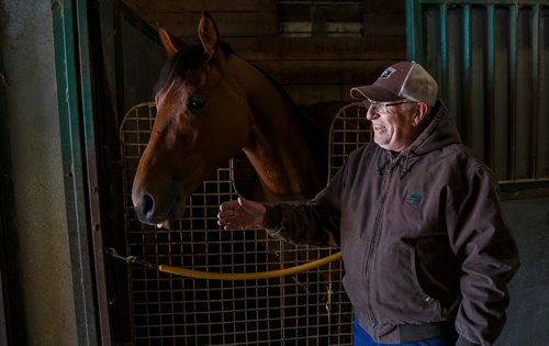 MIKE DEAL / WINNIPEG FREE PRESS
Trainer Murray Duncan with Plentiful the winner of the 2017 Manitoba Derby at Assiniboia Downs Thursday morning.
180510 - Thursday, May 10, 2018.