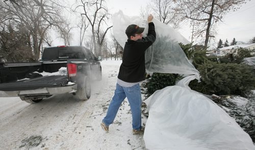 Brandon Sun OUT WITH THE OLD--Scott Mowbray tosses out his Christmas tree at the tree recycling depot area on the grounds of the Keystone Centre along the Richmond Avenue fence on Wednesday afternoon. FOR IAN (Bruce Bumstead/Brandon Sun)