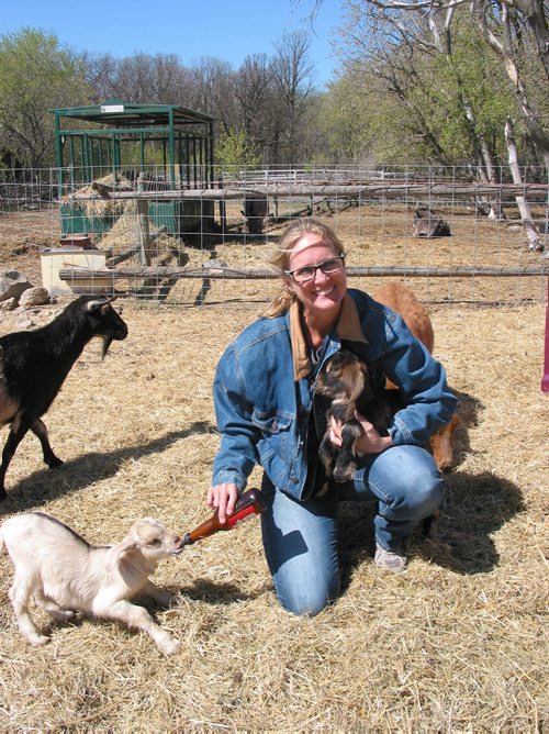 Canstar Community News May 9, 2018 - Judy Thenevot, who operates Six Pines Petting Farm in theRM of Rosser with husband James, is shown with two of this season's baby goats. (ANDREA GEARY/CANSTAR COMMUNITY NEWS)