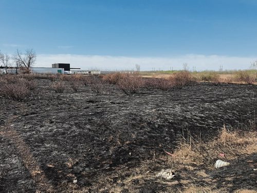 Canstar Community News This section on the southwest corner of Day Street and Gunn Road was burned in a wildfire on May 7, one of several that have plagued the Park City during the extreme dry conditions this month. (SHELDON BIRNIE/CANSTAR/THE HERALD)
