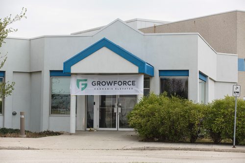 MIKE DEAL / WINNIPEG FREE PRESS
GrowForce Holdings a new Canadian cannabis company held an announcement in their newly purchased facility in the St. Boniface Industrial Park, an old meat processing facility which has sat empty for about eight years.
180515 - Tuesday, May 15, 2018.